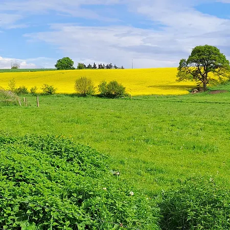 Appartamento La Retraite Du Colonel - Rural à Dinant *