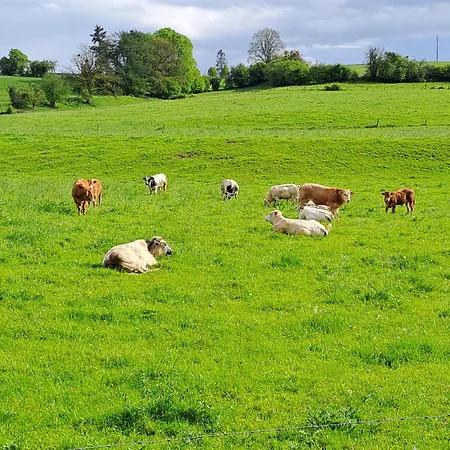 La Retraite Du Colonel - Rural à Dinant Appartamento *